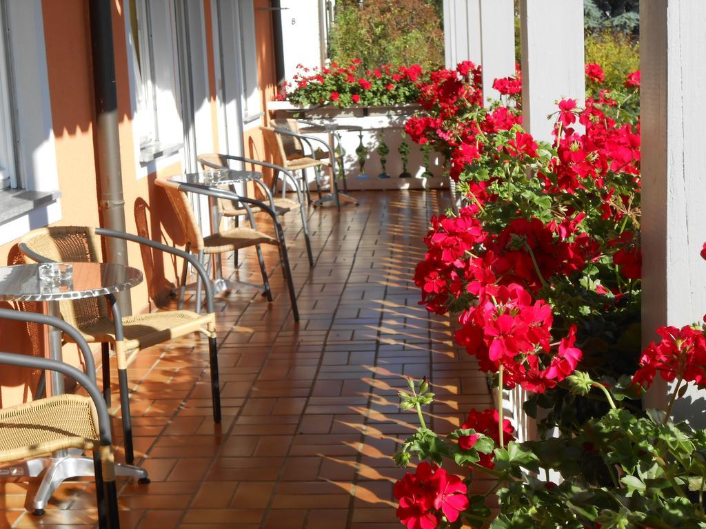 Landgasthof Schutzen Ξενοδοχείο Tengen Εξωτερικό φωτογραφία